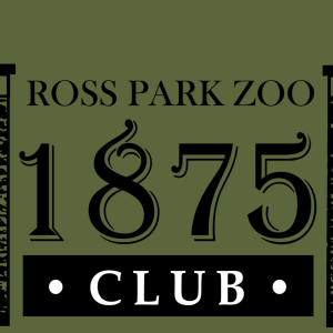 1875 Club Banner