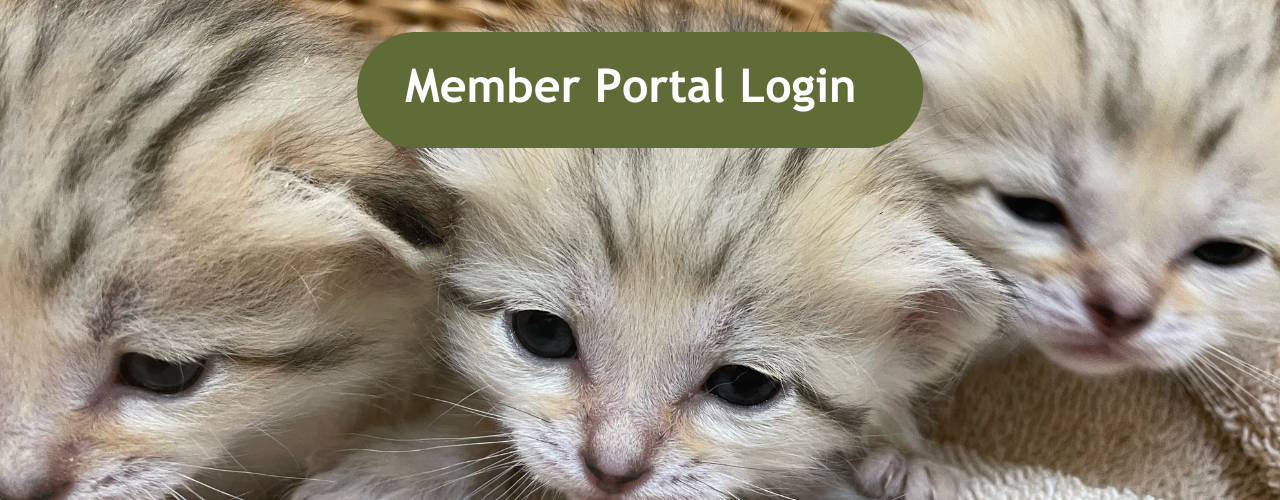 Member Portal - Website